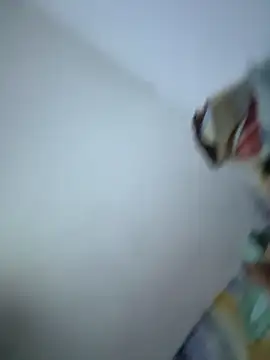 SweetBonniie online show from November 3, 12:05 am