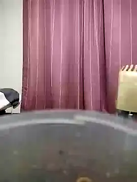Snapshot of majak chatting on December 19, 11:29 am majak online show from December 19, 11:29 am
