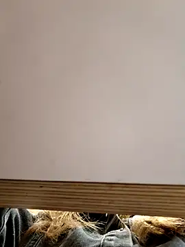 Snapshot of Alexvit2616 chatting on October 31, 9:17 am Alexvit2616 online show from October 31, 9:17 am