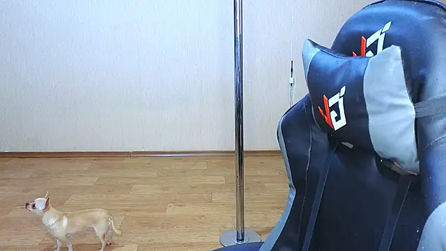 doll barbieee online show from March 9, 5:06 pm