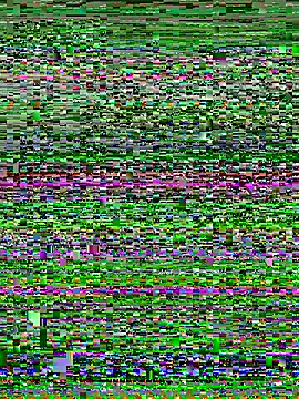 Snapshot of Curveysinaa chatting on November 4, 5:44 am Curveysinaa online show from November 4, 5:44 am