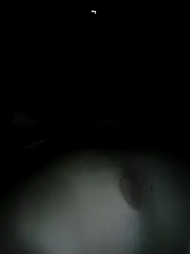 Macanxxx online show from February 7, 12:42 am