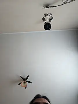 vulpe8400 online show from April 19, 11:11 am