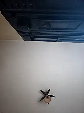 vulpe8400 online show from April 8, 10:11 pm