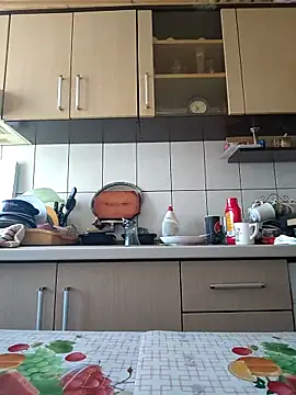 Snapshot of vulpe8400 chatting on February 25, 8:36 am vulpe8400 online show from February 25, 8:36 am