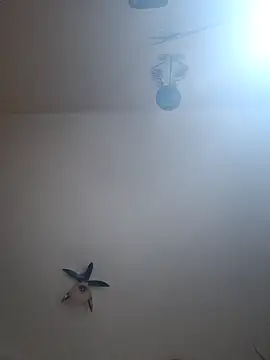 vulpe8400 online show from April 7, 10:33 pm