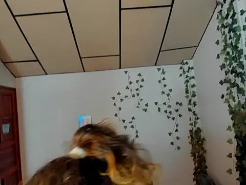 fulfill fantasies1 online show from February 17, 12:57 pm