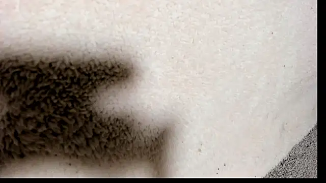 Snapshot of Brock_hurn1 chatting on September 15, 2:01 am Brock hurn1 online show from September 15, 2:01 am