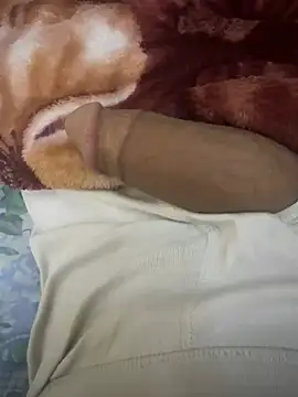 hamed-697 online show from February 19, 6:44 am