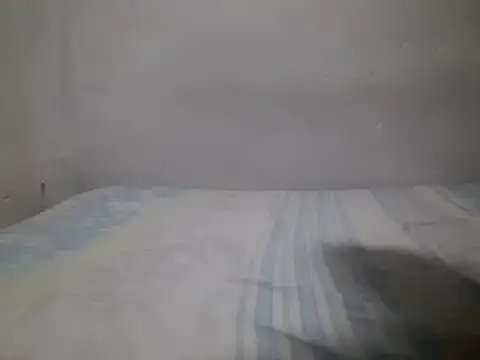 wilialex online show from December 3, 12:52 am