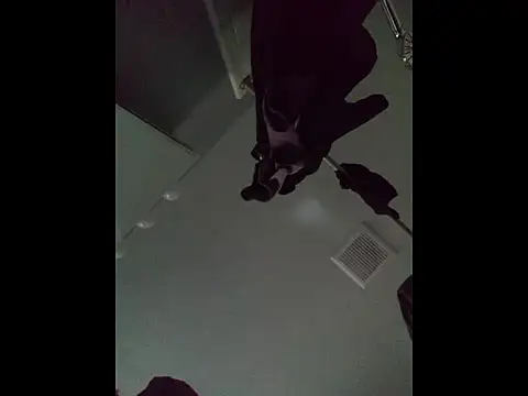 DevinToore online show from April 5, 12:50 am