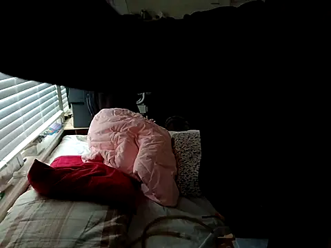 Snapshot of DevinToore chatting on October 20, 8:42 pm DevinToore online show from October 20, 8:42 pm