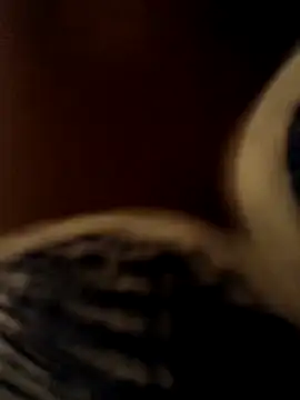 Crazybitchtheanalgoddess4 online show from March 20, 7:04 pm