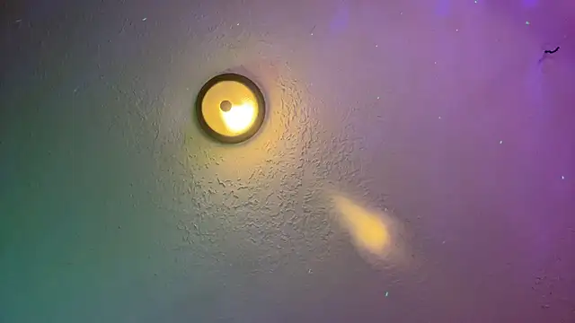 Snapshot of Dani_Dragon69 chatting on February 14, 8:42 am Dani Dragon69 online show from February 14, 8:42 am