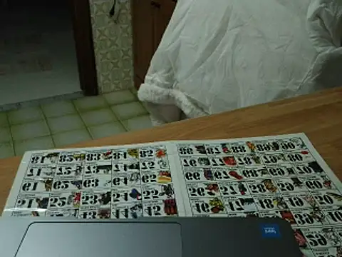 VeneRed online show from November 17, 7:51 pm