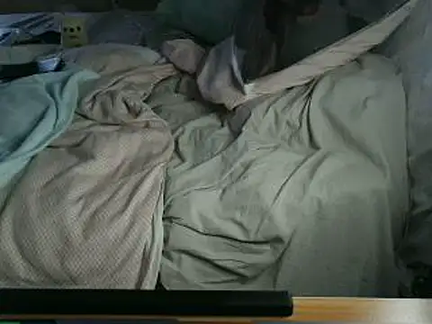 VeneRed online show from April 3, 3:40 pm