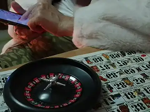 VeneRed online show from November 12, 7:18 pm