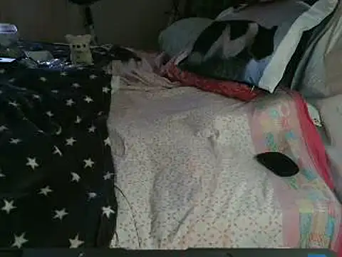 VeneRed online show from March 26, 11:08 am