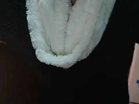 VeneRed online show from March 31, 6:10 pm