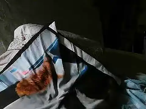 Snapshot of VeneRed chatting on July 2, 8:26 pm VeneRed online show from July 2, 8:26 pm