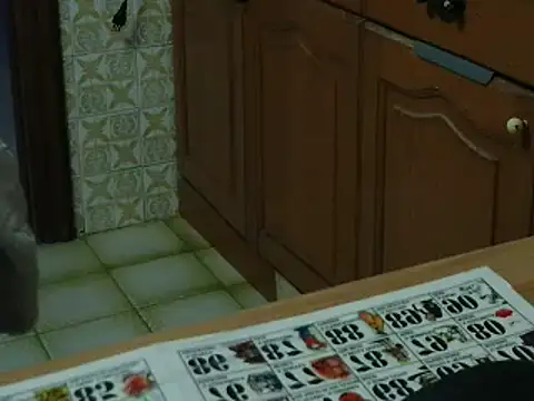 VeneRed online show from November 16, 5:28 pm