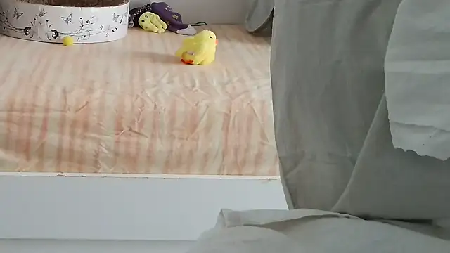 VeneRed online show from September 9, 8:46 am