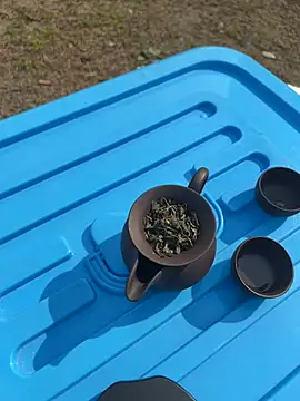 CN-Shanshan online show from February 1, 4:00 am