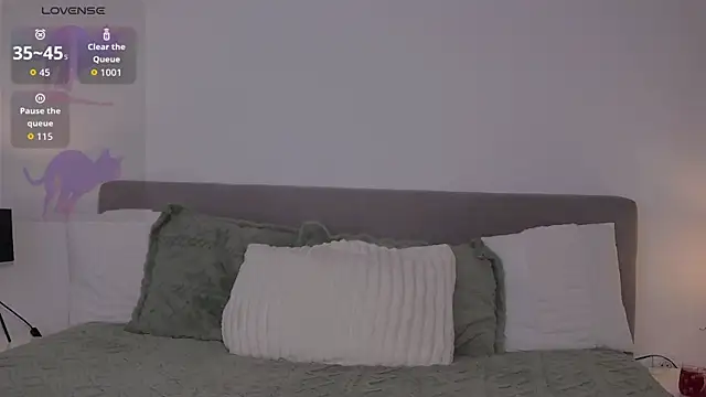 Snapshot of AllisonSky chatting on February 4, 2:45 pm AllisonSky online show from February 4, 2:45 pm