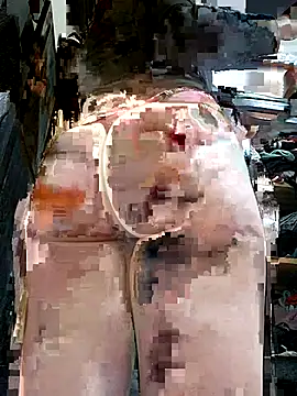 gina7772 online show from November 7, 3:33 am