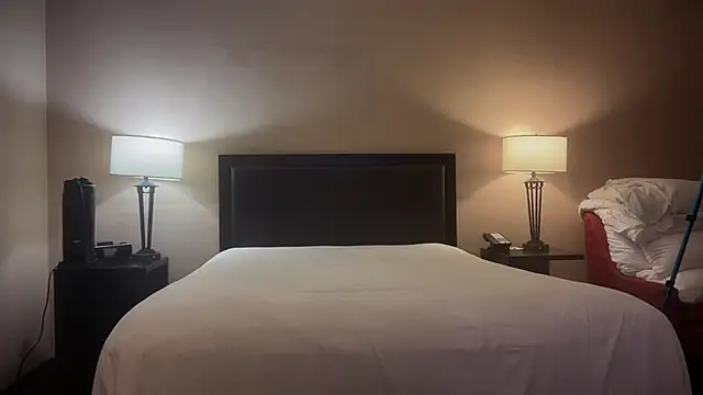 GymBoyVan online show from October 1, 4:39 am