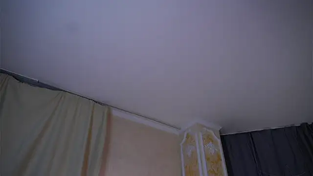 EdlinAlliston online show from February 2, 4:28 pm