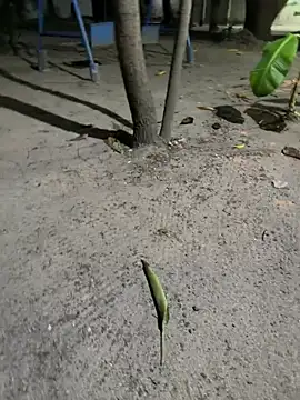 Erick-90 online show from February 21, 6:26 am