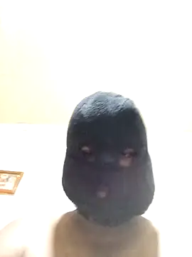 Nogeris20 online show from November 6, 3:16 pm