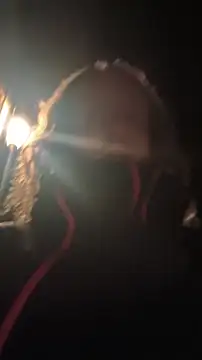 DrownMentallyyy online show from April 5, 12:50 am