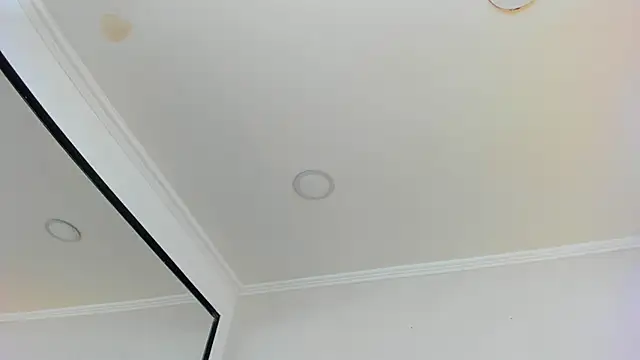 Snapshot of Loggan_donnelly chatting on March 10, 10:55 pm Loggan donnelly online show from March 10, 10:55 pm