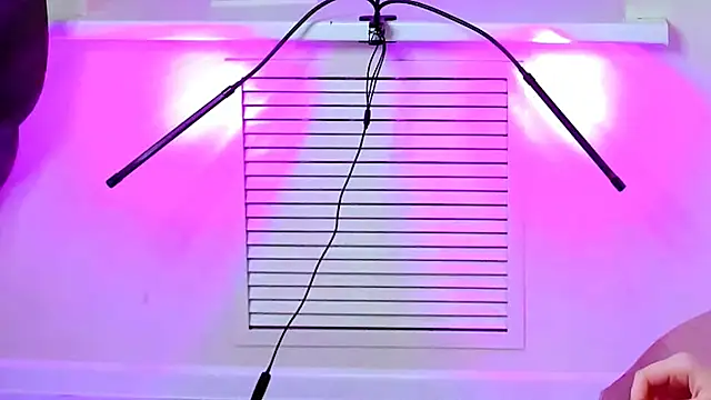 CarolGiggly online show from November 16, 8:41 am