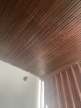 Praga Pink online show from March 3, 2:13 pm