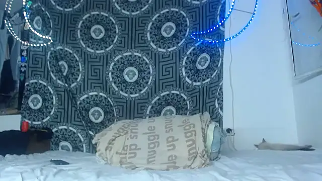 Adam hard  online show from November 26, 11:27 pm