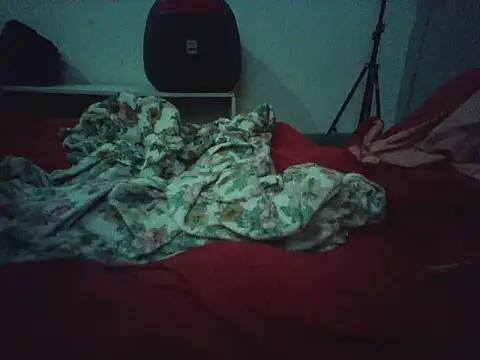 Snapshot of novilho18piroc chatting on May 25, 5:22 pm novilho18piroc online show from May 25, 5:22 pm