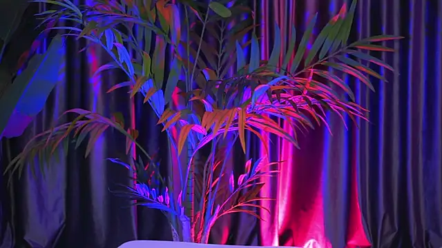 LaraSin online show from December 30, 1:15 am