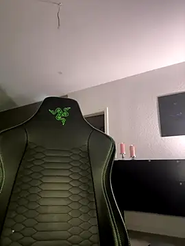 Snapshot of PalinaPr chatting on December 1, 6:20 pm PalinaPr online show from December 1, 6:20 pm