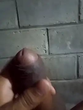 ga213333 online show from January 11, 8:32 am