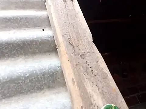 tayson  online show from October 15, 11:18 am