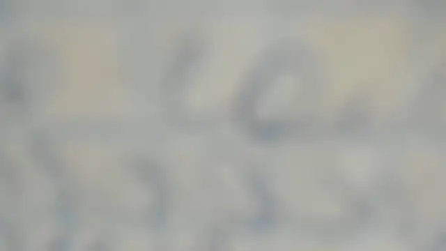 elis gabbi online show from September 12, 1:00 pm