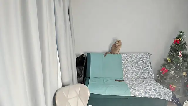 elis gabbi online show from December 19, 8:49 am