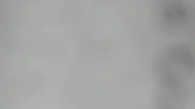 elis gabbi online show from February 28, 2:44 am