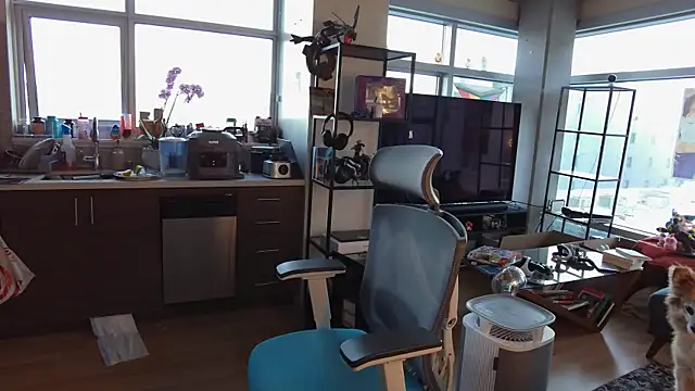 Snapshot of bearcloudcomputa chatting on December 30, 12:11 am bearcloudcomputa online show from December 30, 12:11 am