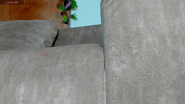 adhara hotter online show from November 1, 7:41 pm