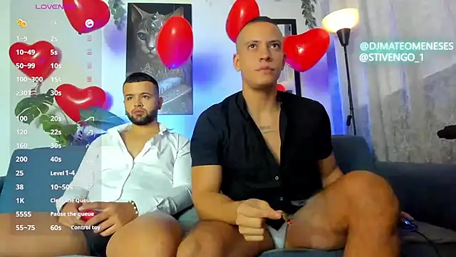 Snapshot of MattMeness chatting on February 14, 10:36 pm MattMeness online show from February 14, 10:36 pm