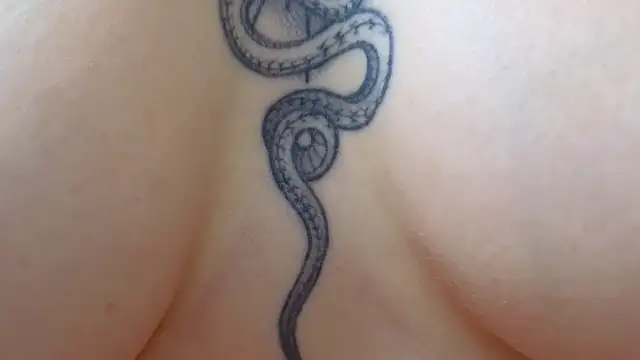 Your Auggie online show from March 12, 2:12 pm